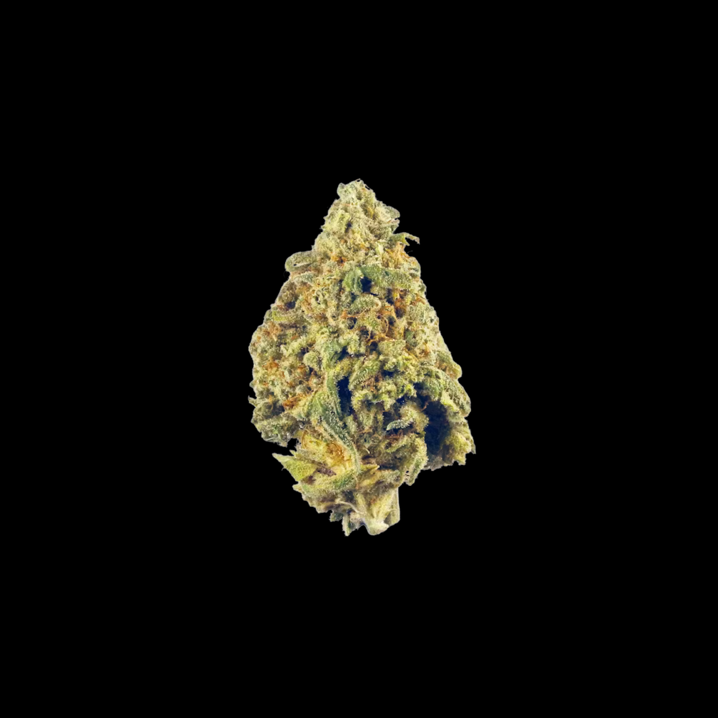9LB Hammer