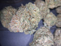 Silver Kush Wholesale Price Special Offer