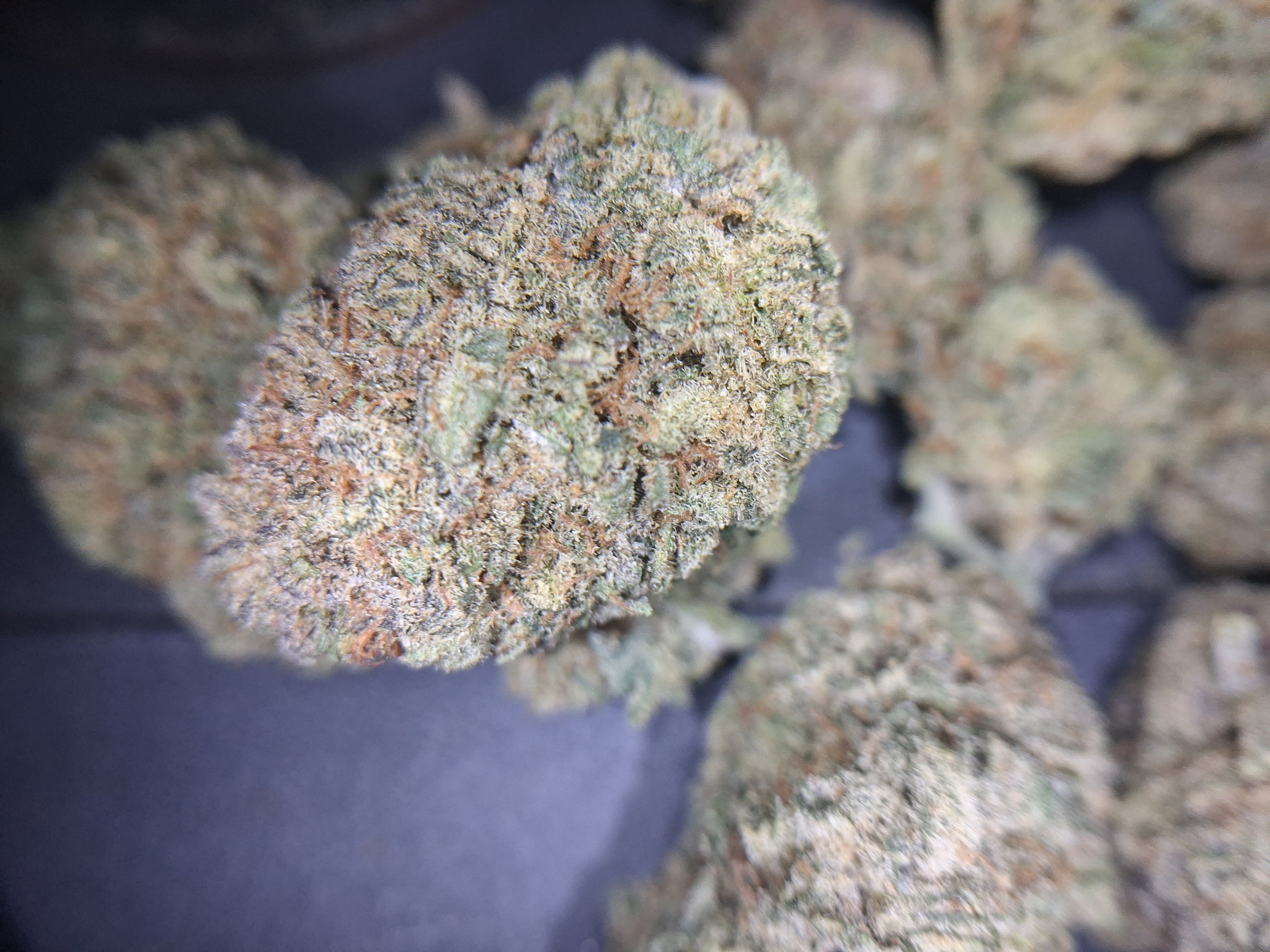 Silver Kush Wholesale Price Special Offer