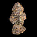 Party Poppers 100gram