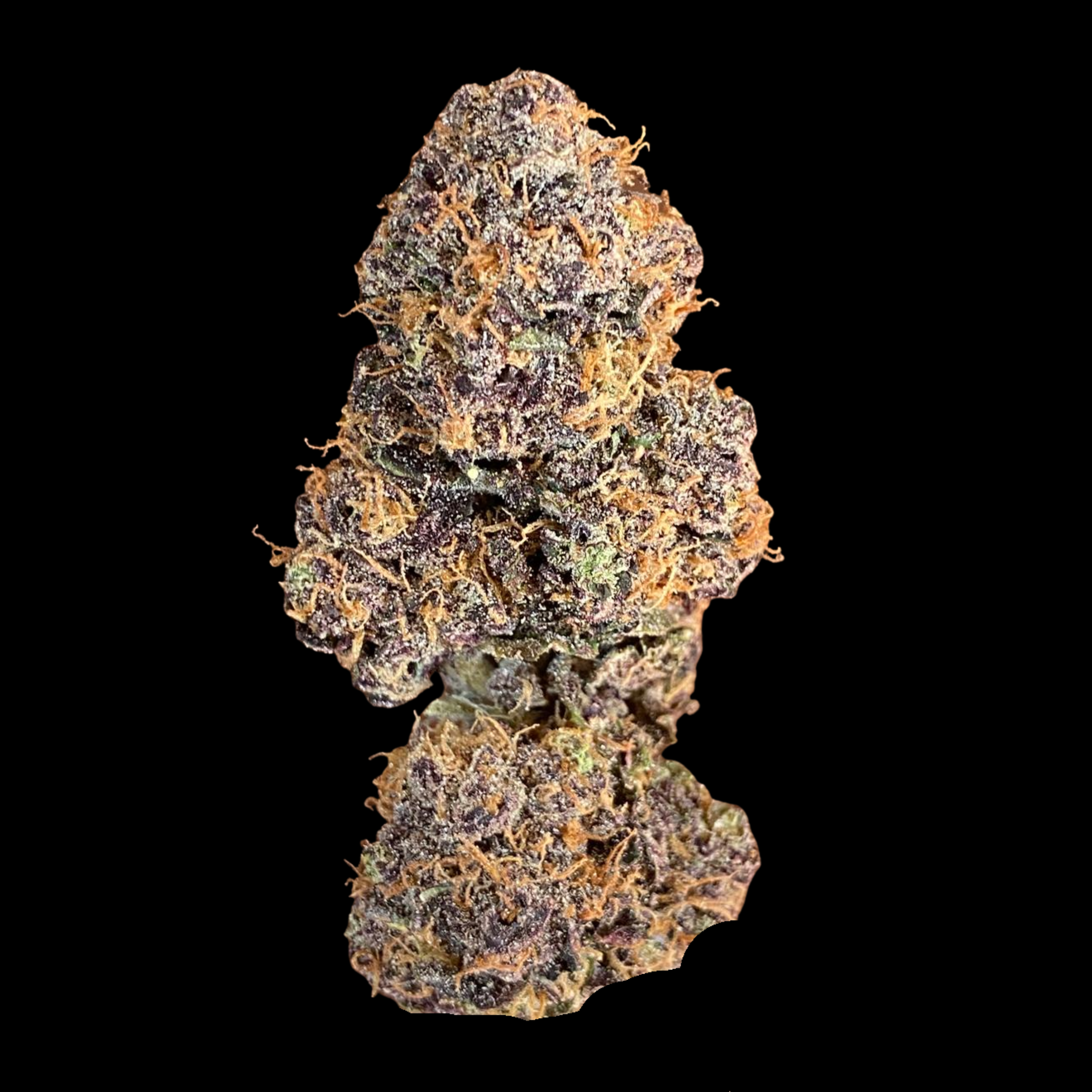 Party Poppers 100gram